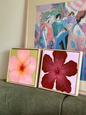 Hibiscus Burgundy & Pink Original