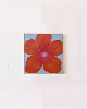 Hibiscus Orange & Blue Original