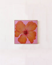Hibiscus Orange & Pink Original