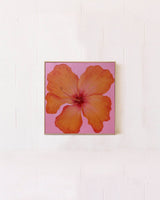 Hibiscus Orange & Pink Original