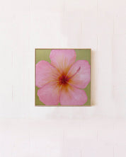 Hibiscus Pink & Green Original