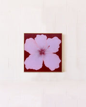 Hibiscus Pink & Maroon Original