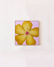 Hibiscus Yellow & Pink Original