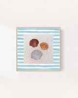 Shoreline Shells 03